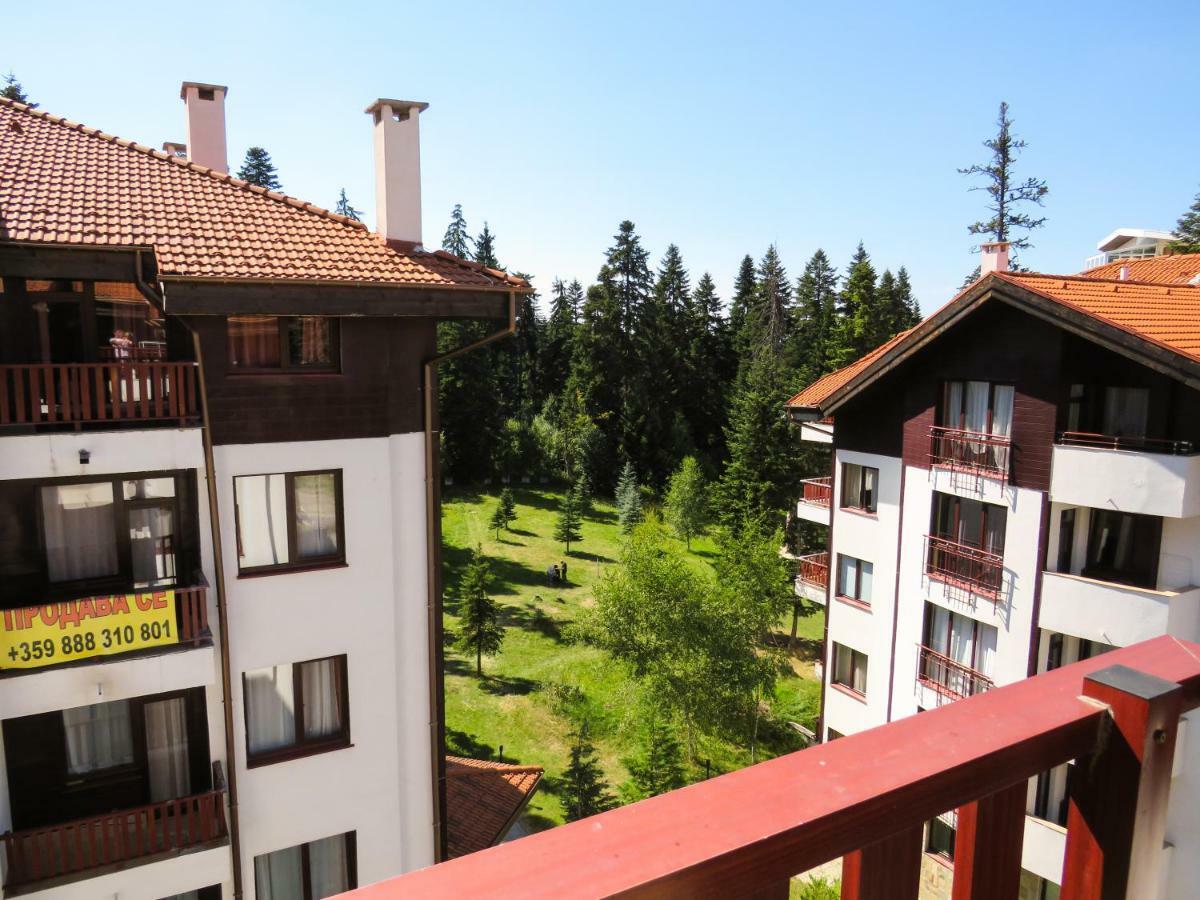 Flora Daisy Apartment Nr 28 Borovec Exteriér fotografie